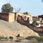 Essaouira : Entre Histoire, Art et Nature sur la Côte Atlantique